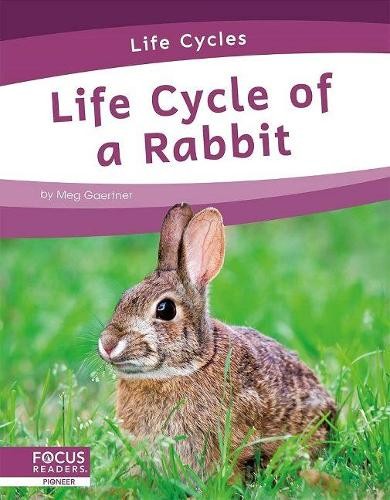 Life Cycles: Life Cycle of a Rabbit