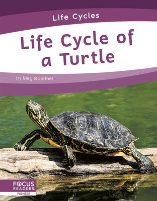 Life Cycles: Life Cycle of a Turtle
