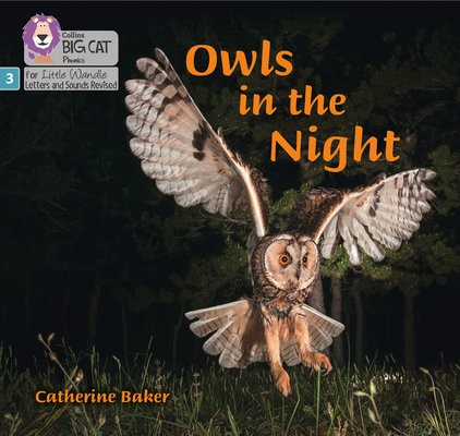 Owls in the Night