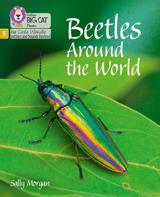 Beetles Around the World