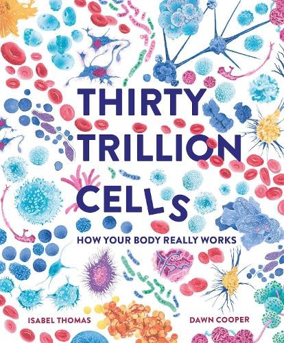 Thirty Trillion Cells