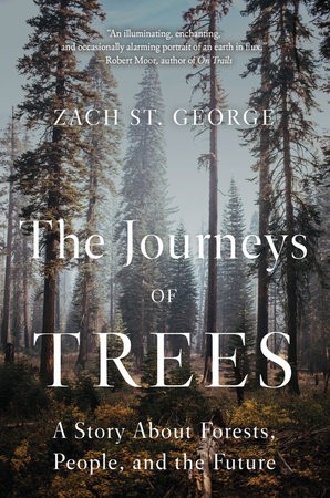 Journeys of Trees