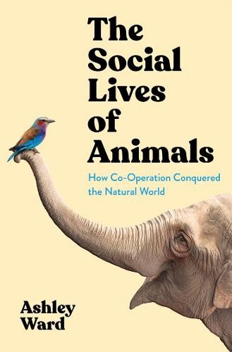 Social Lives of Animals