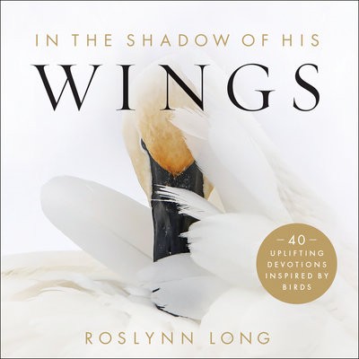 In the Shadow of His Wings – 40 Uplifting Devotions Inspired by Birds