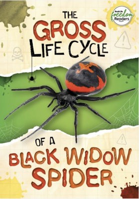 Gross Life Cycle of a Black Widow Spider