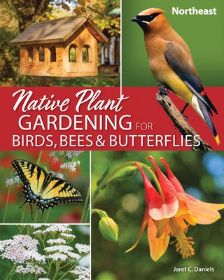 Native Plant Gardening for Birds, Bees a Butterflies: Northeast