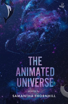 Animated Universe