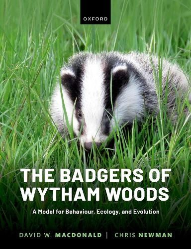 Badgers of Wytham Woods