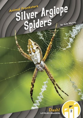 Animal Pranksters: Silver Argiope Spiders