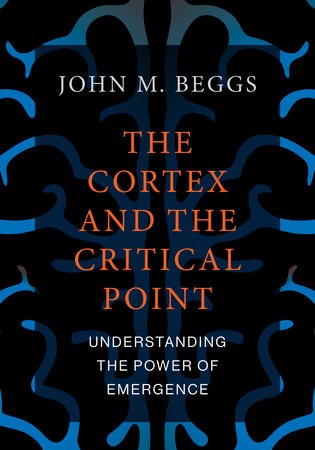 Cortex and the Critical Point