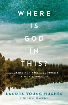 Where Is God in This? Â– Looking for God`s Goodness in Our Struggles