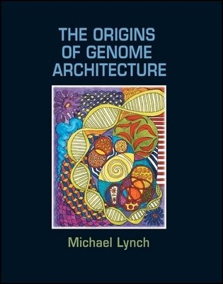 Origins of Genome Architecture