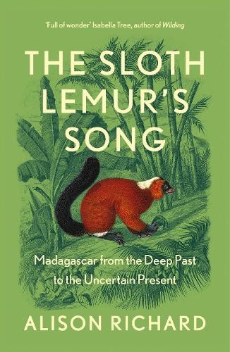 Sloth Lemur’s Song