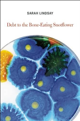 Debt to the Bone-Eating Snotflower