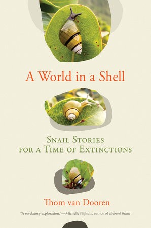 World in a Shell