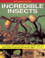 Exploring Nature: Incredible Insects