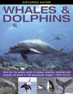 Exploring Nature: Whales a Dolphins