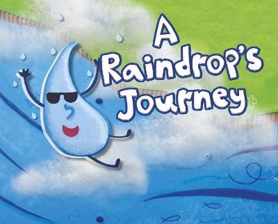 Raindrop's Journey