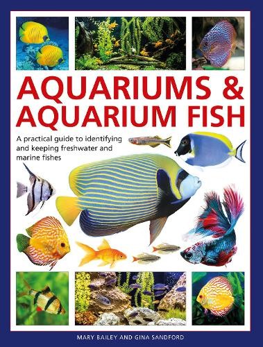 Aquariums a Aquarium Fish
