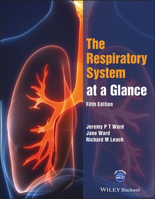 Respiratory System at a Glance
