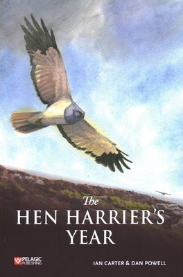 Hen Harrier's Year