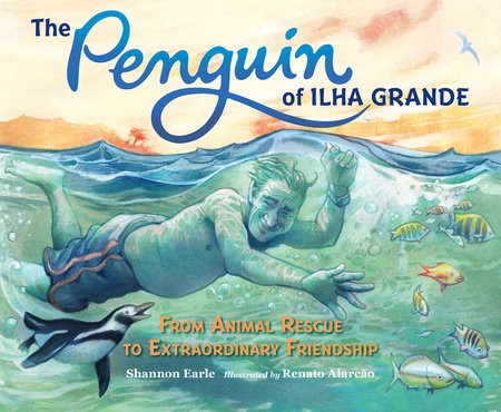 Penguin of Ilha Grande