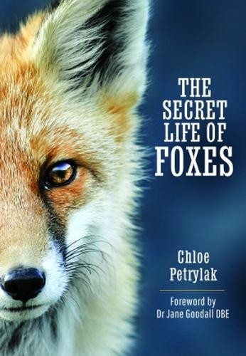 Secret Life of Foxes