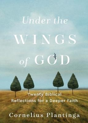 Under the Wings of God Â– Twenty Biblical Reflections for a Deeper Faith