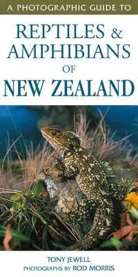 Photographic Guide To Reptiles a Amphibians Of New Zealand
