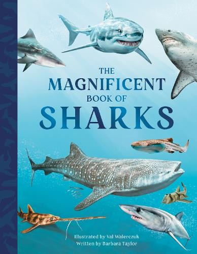 Magnificent Book of Sharks