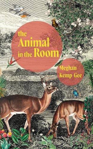 Animal in the Room
