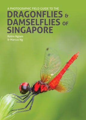 Photographic Field Guide to the Dragonflies a Damselflies of Singapore