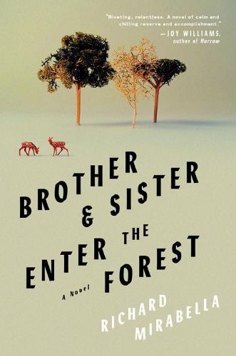 Brother a Sister Enter The Forest