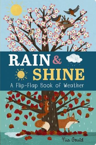 Rain a Shine: A Flip-Flap Book of Weather