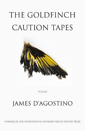 Goldfinch Caution Tapes