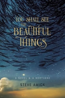 You Shall See the Beautiful Things – A Novel a A Nocturne
