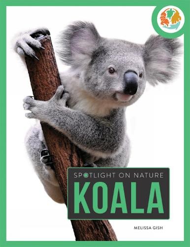 Spotlight on Nature: Koala