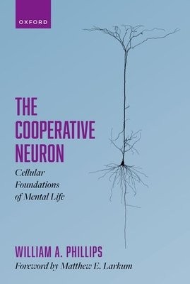 Cooperative Neuron