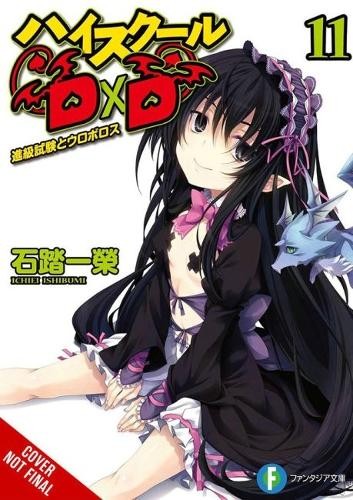 High School DxD, Vol. 11 (light novel)