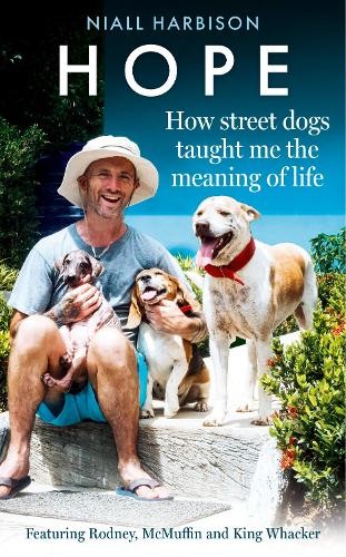 Hope Â– How Street Dogs Taught Me the Meaning of Life