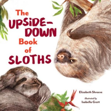 Upside-Down Book of Sloths