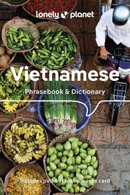 Lonely Planet Vietnamese Phrasebook a Dictionary