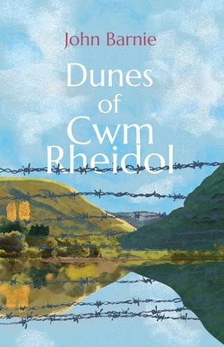 Dunes of Cwm Rheidol