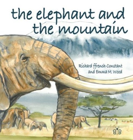 Elephant and the Mountain