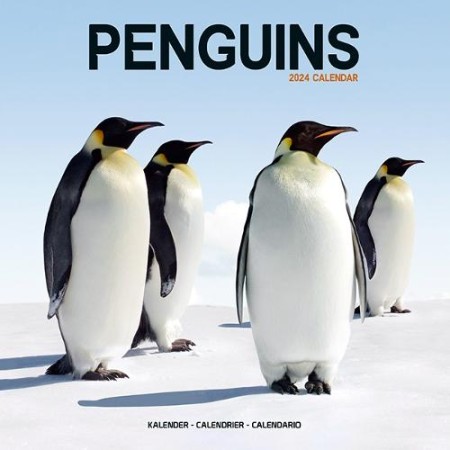 Penguins Calendar 2024 Square Animal Wall Calendar - 16 Month