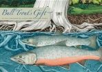 Bull Trout's Gift