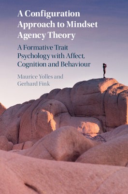 Configuration Approach to Mindset Agency Theory
