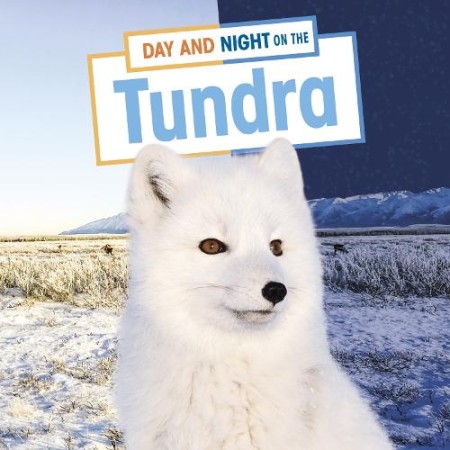 Day and Night on the Tundra