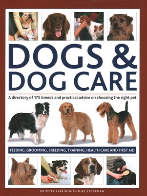 Dogs a Dog Care
