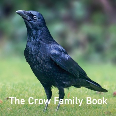Crow Family Book, The